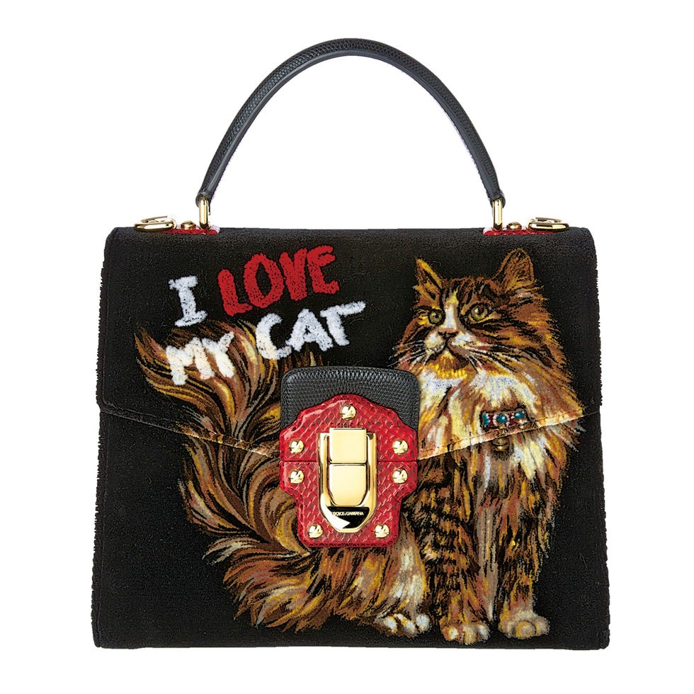 Handbag, Bag, Fashion accessory, Shoulder bag, Felidae, Luggage and bags, Tote bag, Font, Fur, Tiger, 