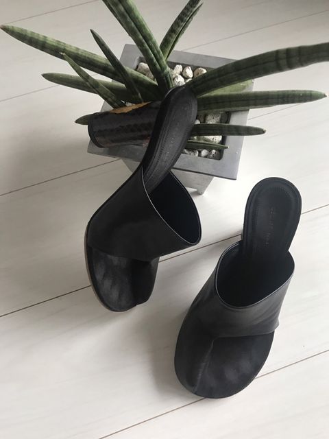 Black, Footwear, High heels, Plant, Shoe, Propeller, Table, Flowerpot, Flower, Sandal, 