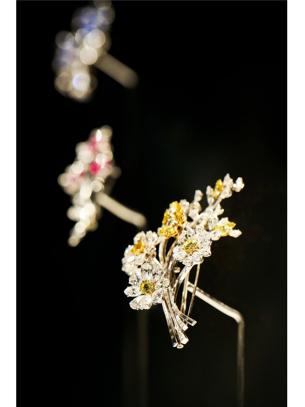 Yellow, Flower, Amber, Botany, Macro photography, Twig, Still life photography, Pollen, Plant stem, Wildflower, 