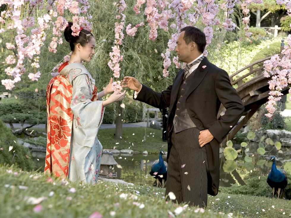 Flower, Coat, Petal, Suit, Bird, Blossom, Spring, Ceremony, Love, Marriage, 