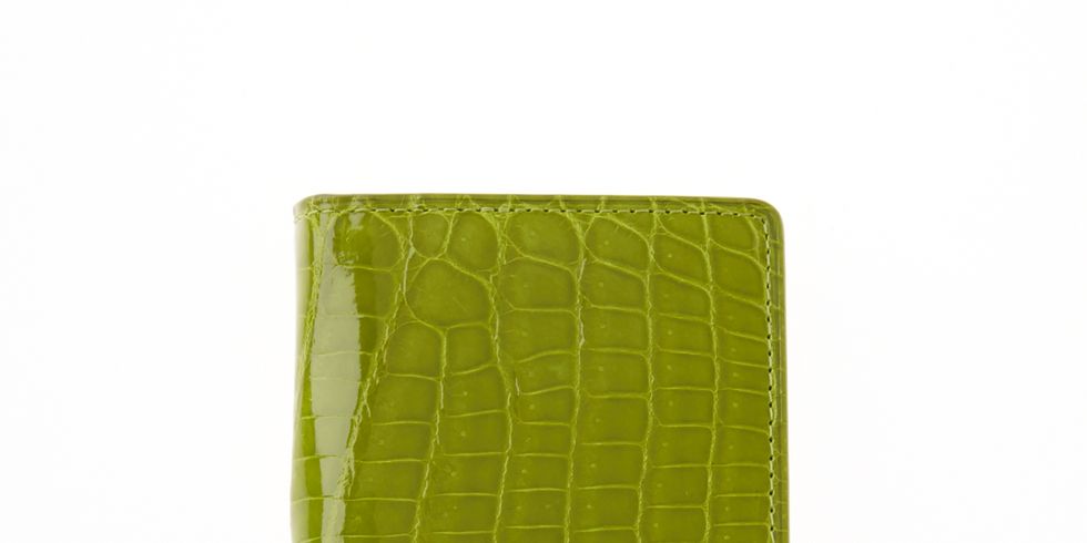 Green, Leaf, Wallet, Rectangle, Fashion accessory, 