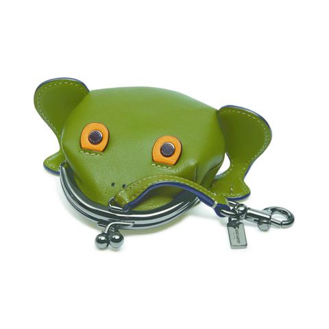 Green, Frog, Coin purse, Amphibian, True frog, Fashion accessory, 