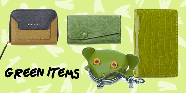 Green, Wallet, Coin purse, Frog, Amphibian, 