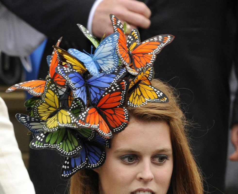 Invertebrate, Arthropod, Insect, Pollinator, Butterfly, Moths and butterflies, Wing, Headgear, Costume accessory, Hair accessory, 