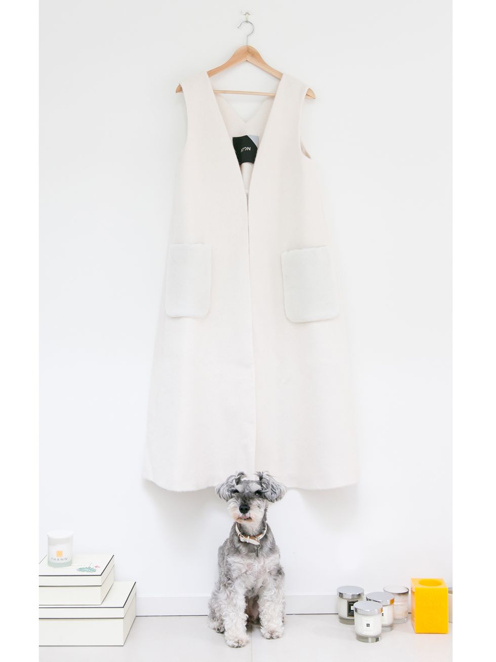 Clothing, White, Outerwear, Collar, Dress, Vest, Canidae, Formal wear, Robe, Jacket, 