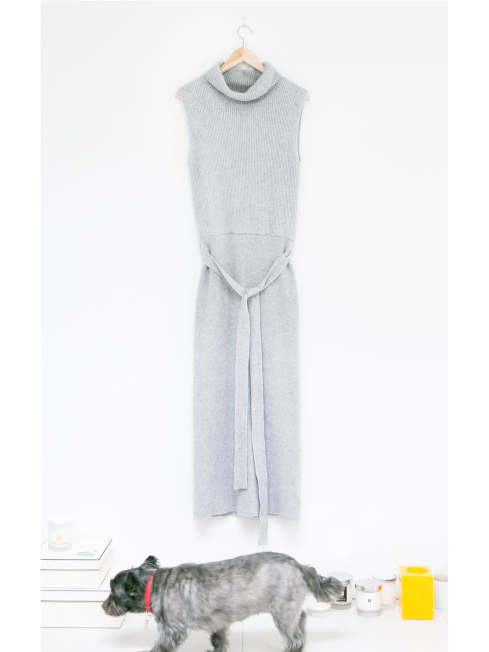 Clothing, White, Dress, Grey, Outerwear, Day dress, Canidae, Sleeve, Neck, Beige, 