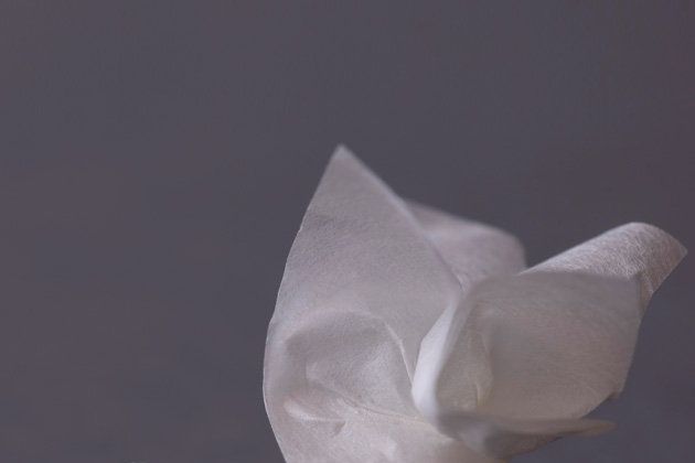 Natural material, Paper, Cone, Still life photography, Paper product, Chemical compound, 