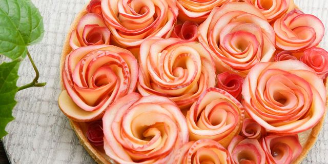 Flower, Peach, Pink, Orange, Petal, Flowering plant, Spiral, Red onion, Onion, Rose family, 