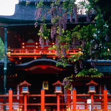 Chinese architecture, Architecture, Japanese architecture, Place of worship, Temple, Shrine, Pagoda, Holy places, Shinto shrine, Historic site, 