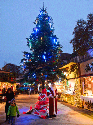 Blue, Event, Winter, Christmas decoration, Christmas tree, Tradition, Holiday, Woody plant, Christmas eve, Christmas lights, 