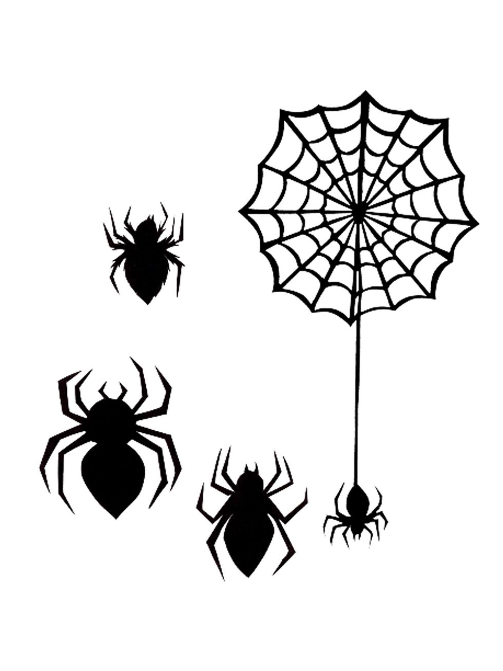 Insect, Line art, Spider web, Black-and-white, Invertebrate, Spider, 
