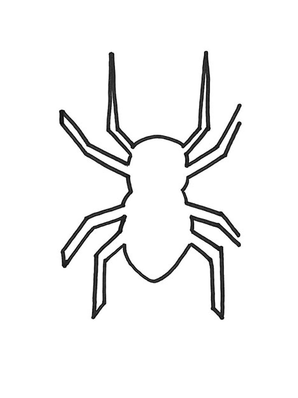 Spider, Line, Arachnid, Insect, Invertebrate, Orb-weaver spider, Organism, Symmetry, Line art, Arthropod, 