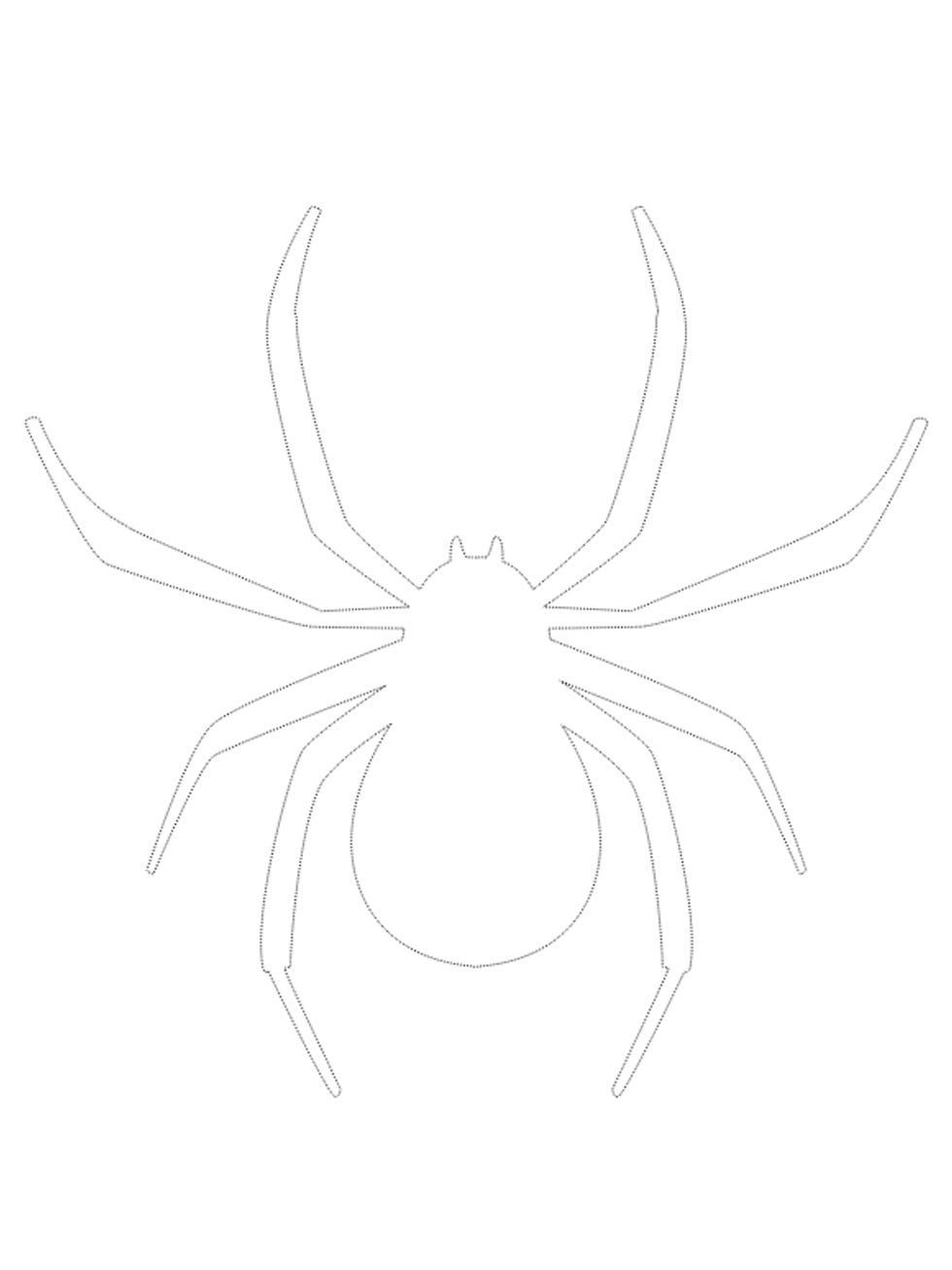 White, Line, Invertebrate, Symmetry, Line art, Orb-weaver spider, Insect, Black-and-white, Spider, Arachnid, 