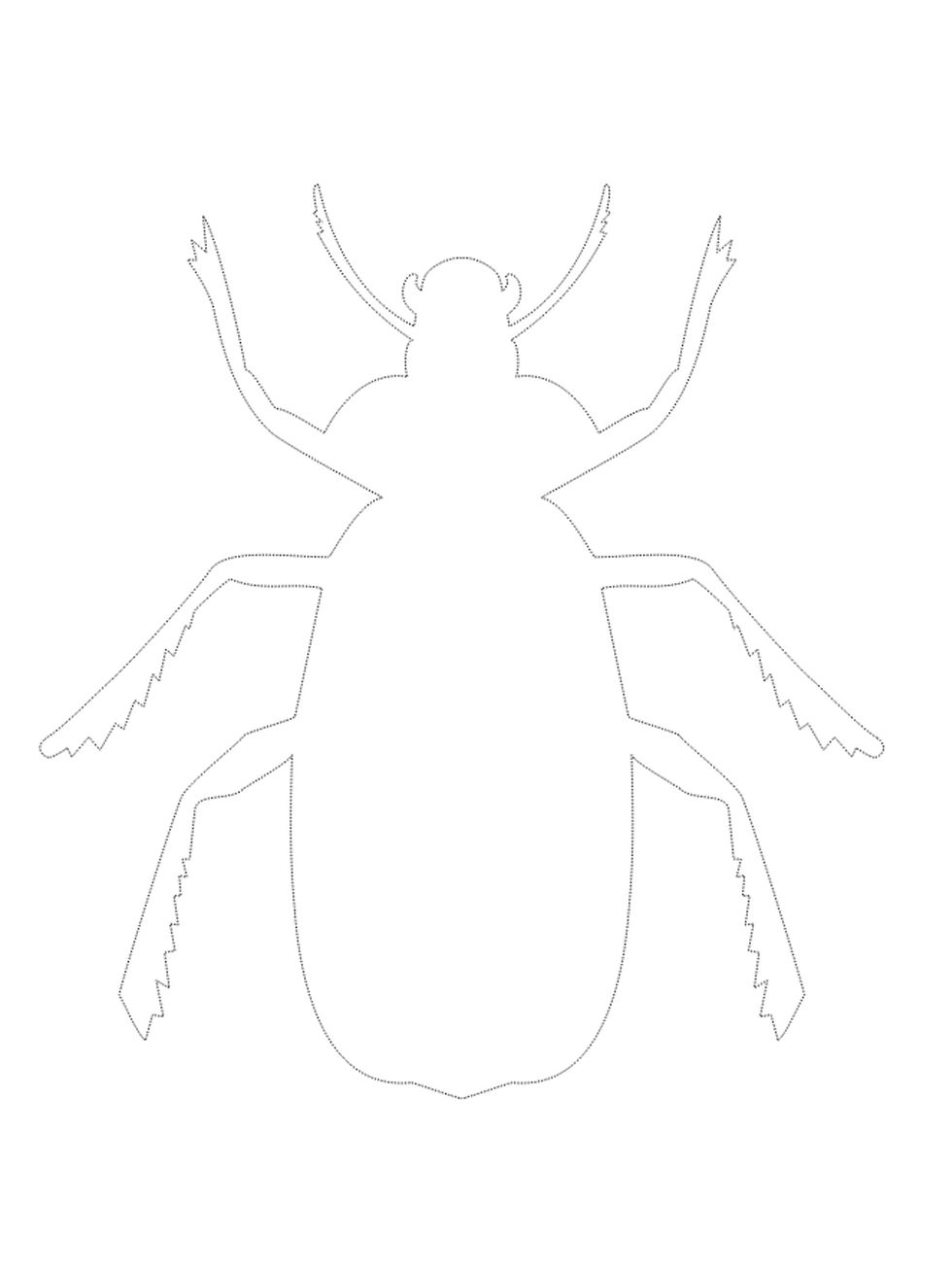White, Insect, Spider, Pest, Invertebrate, Line, Organism, Arachnid, Line art, Illustration, 