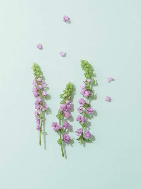 50 素晴らしい料理 飾り 花 すべての美しい花の画像 50 素晴らしい料理 飾り 花 すべての美しい花の画像