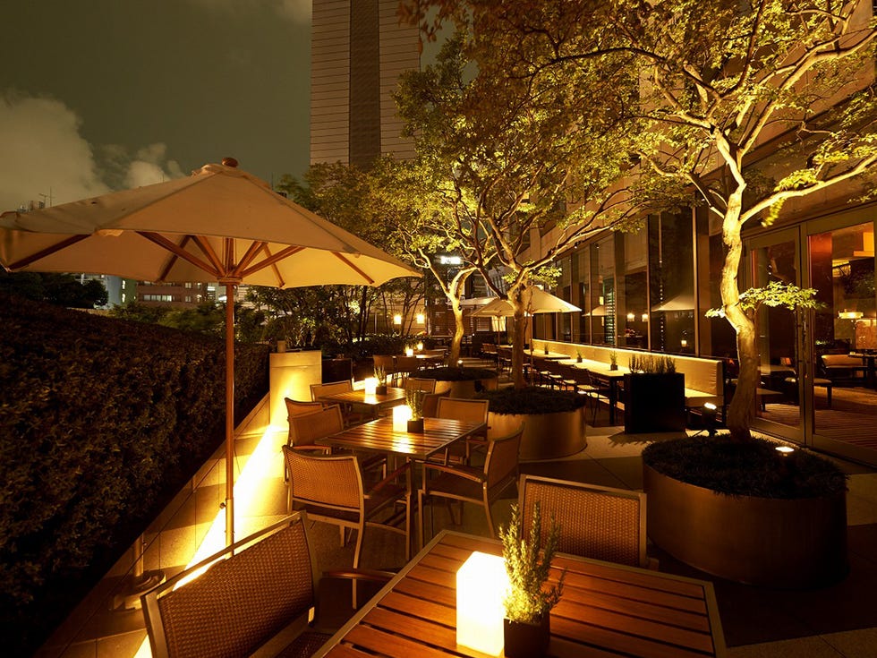 Lighting, Landscape lighting, Restaurant, Night, Building, Tree, Interior design, Resort, Landscape, Home, 