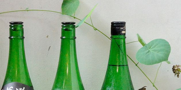 Green, Bottle, Glass, Glass bottle, Drinkware, Ingredient, Herb, Packaging and labeling, Sticker, Cylinder, 