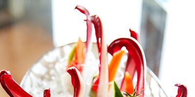 Ingredient, Flowering plant, Carmine, Garnish, Spice, Peperoncini, Chili pepper, Bell peppers and chili peppers, Lily family, Produce, 