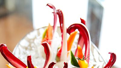 Ingredient, Flowering plant, Carmine, Garnish, Spice, Peperoncini, Chili pepper, Bell peppers and chili peppers, Lily family, Produce, 