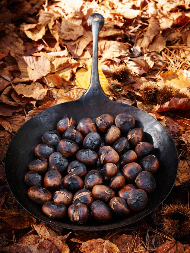 Brown, Still life photography, Iron, Natural foods, Kitchen utensil, Deciduous, Still life, Sphere, Superfood, Barware, 