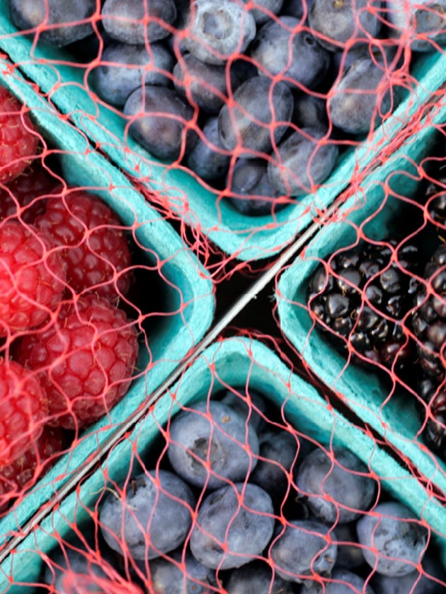 Red, Organism, Net, Fractal art, Muscle, Pattern, Chain-link fencing, 