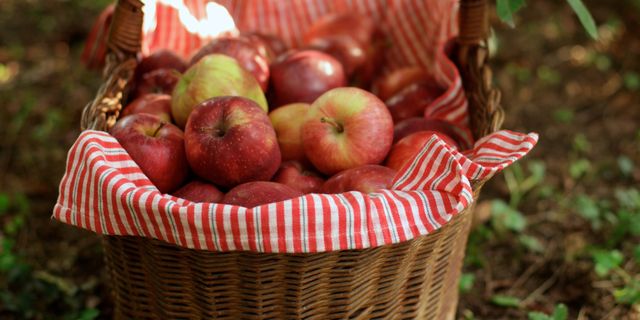 Natural foods, Apple, Fruit, Basket, Food, Local food, Plant, Mcintosh, Superfood, Produce, 