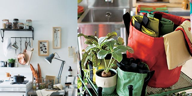 Flowerpot, Houseplant, Room, Furniture, Shelf, Plant, Interior design, Table, Herb, Home, 