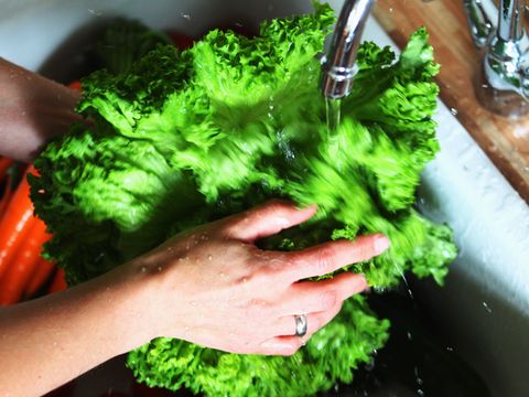 Green, Leaf vegetable, Ingredient, Food, Vegetable, Produce, Cruciferous vegetables, Whole food, Kitchen utensil, wild cabbage, 