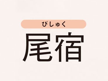 Vol 4 水晶玉子が告げる 27宿の運気上昇ポイント Vol 4 水晶玉子が告げる 27宿の運気上昇ポイント