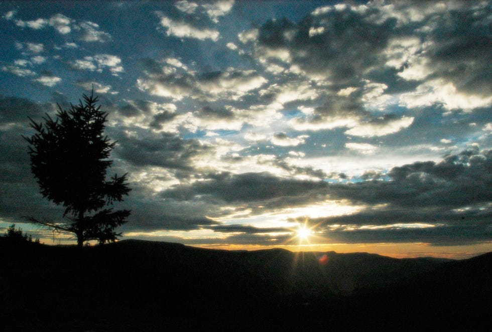 Sky, Cloud, Nature, Tree, Horizon, Sunset, Daytime, Morning, Natural landscape, Evening, 