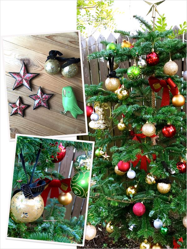 Event, Christmas decoration, Christmas ornament, Holiday ornament, Christmas tree, Holiday, Woody plant, Christmas, Interior design, Christmas eve, 