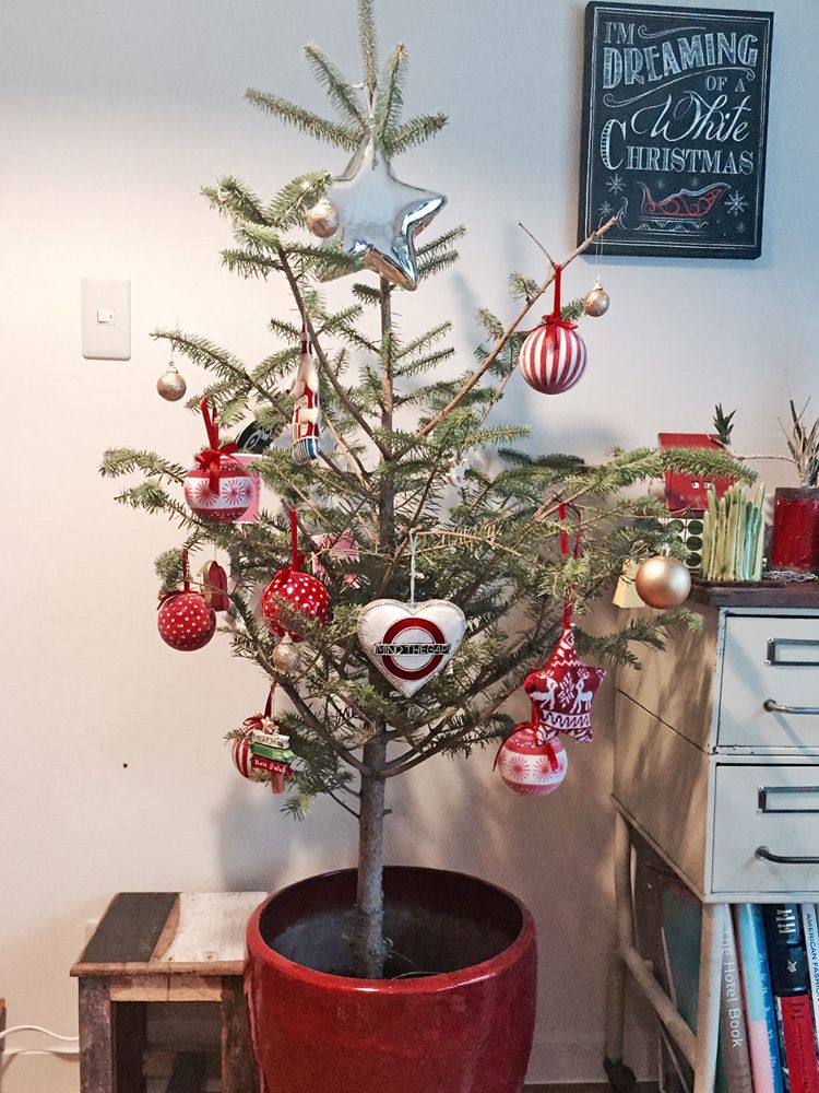 Branch, Christmas decoration, Christmas ornament, Interior design, Holiday ornament, Holiday, Christmas tree, Christmas, Flowerpot, Christmas eve, 