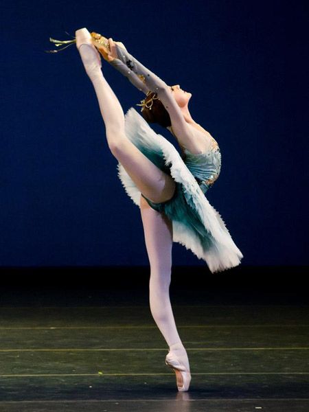 Ballet shoe, Performing arts, Entertainment, Human leg, Ballet, Shoe, Joint, Dancer, Ballet dancer, Artist, 