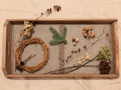 Brown, Wood, Leaf, Botany, Beige, Natural material, Twig, Flowering plant, Still life photography, Craft, 