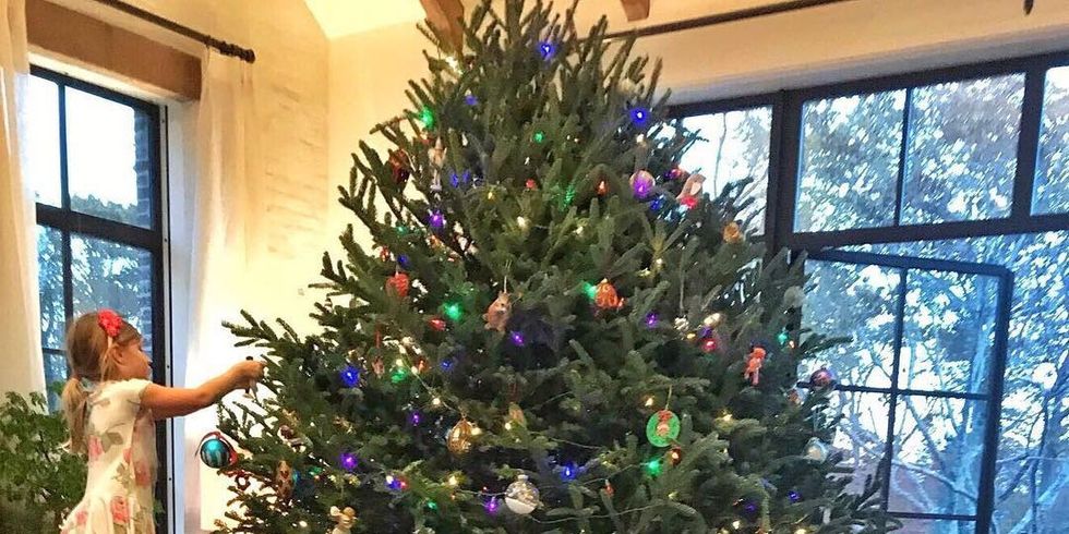 Christmas tree, Tree, Christmas, Christmas decoration, Christmas ornament, Colorado spruce, Houseplant, Plant, Woody plant, Spruce, 