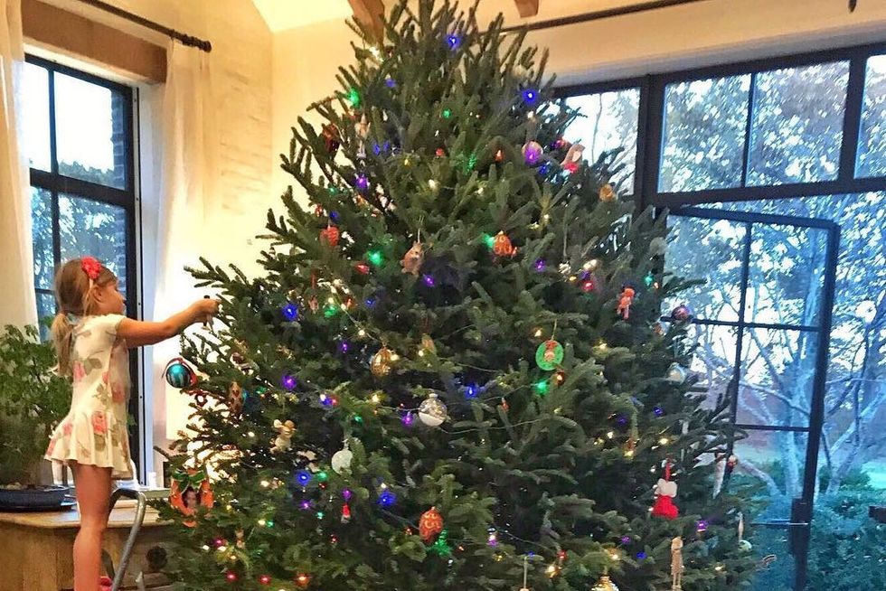 Christmas tree, Tree, Christmas, Christmas decoration, Christmas ornament, Colorado spruce, Houseplant, Plant, Woody plant, Spruce, 