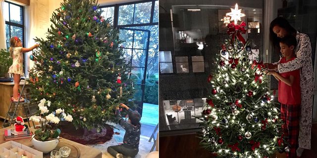 Christmas tree, Christmas, Christmas decoration, Colorado spruce, Tree, Christmas ornament, Home, oregon pine, Plant, Evergreen, 