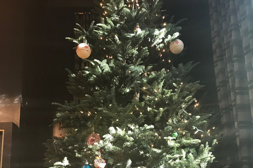 Christmas tree, Tree, Christmas ornament, Christmas, Christmas decoration, Christmas eve, Woody plant, Fir, Spruce, Plant, 