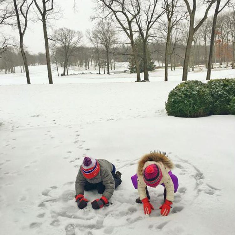 Winter, Branch, Freezing, Snow, Carmine, Playing in the snow, Twig, Trunk, Toy, Precipitation, 