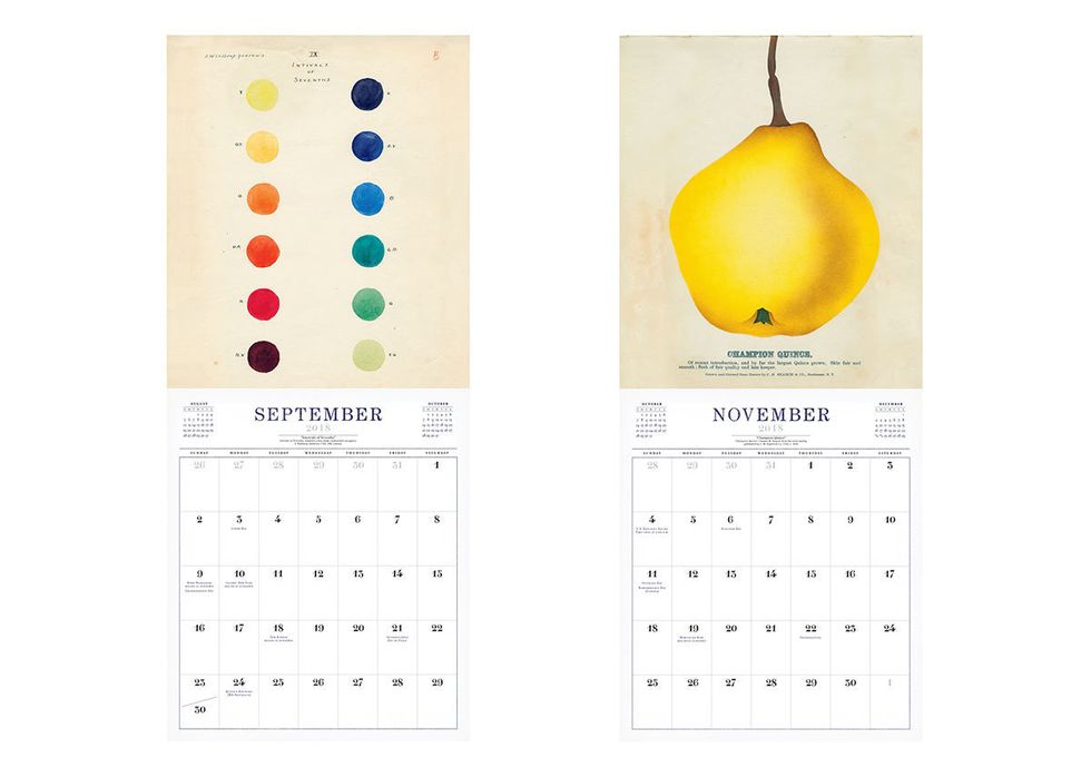 Yellow, Colorfulness, Text, Calendar, Font, Circle, Earrings, General supply, Number, Sphere, 
