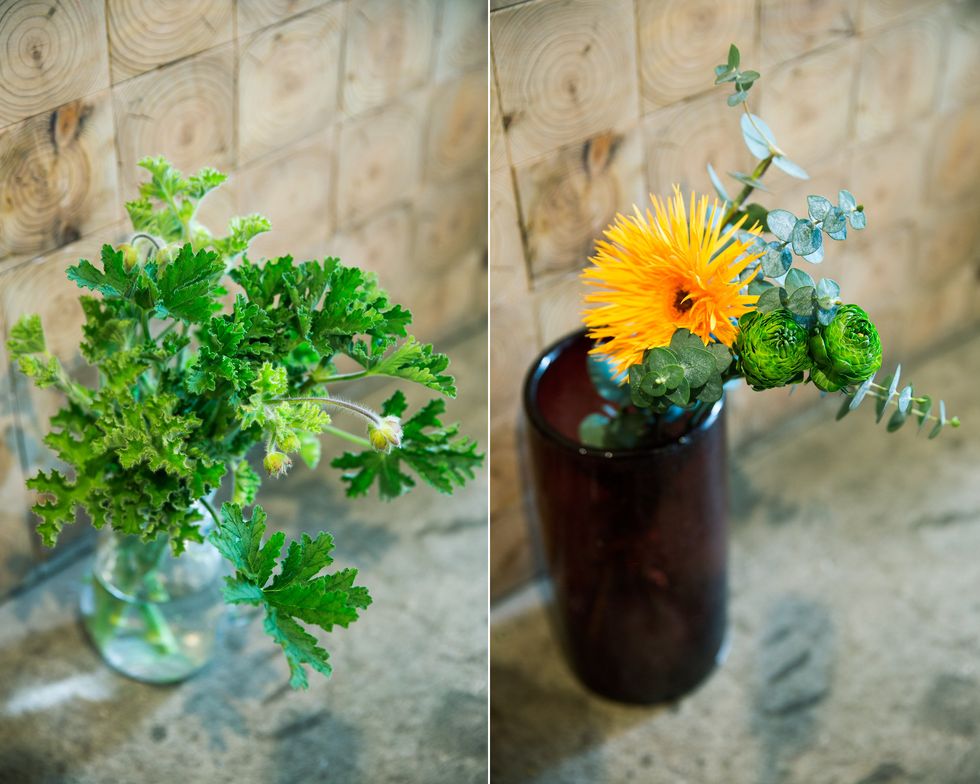 Flowerpot, Petal, Paint, Flowering plant, Still life photography, Cut flowers, Annual plant, Art paint, Vase, Herb, 