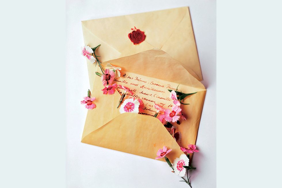 Pink, Paper, Paper product, Textile, Plant, Art paper, Paper bag, 