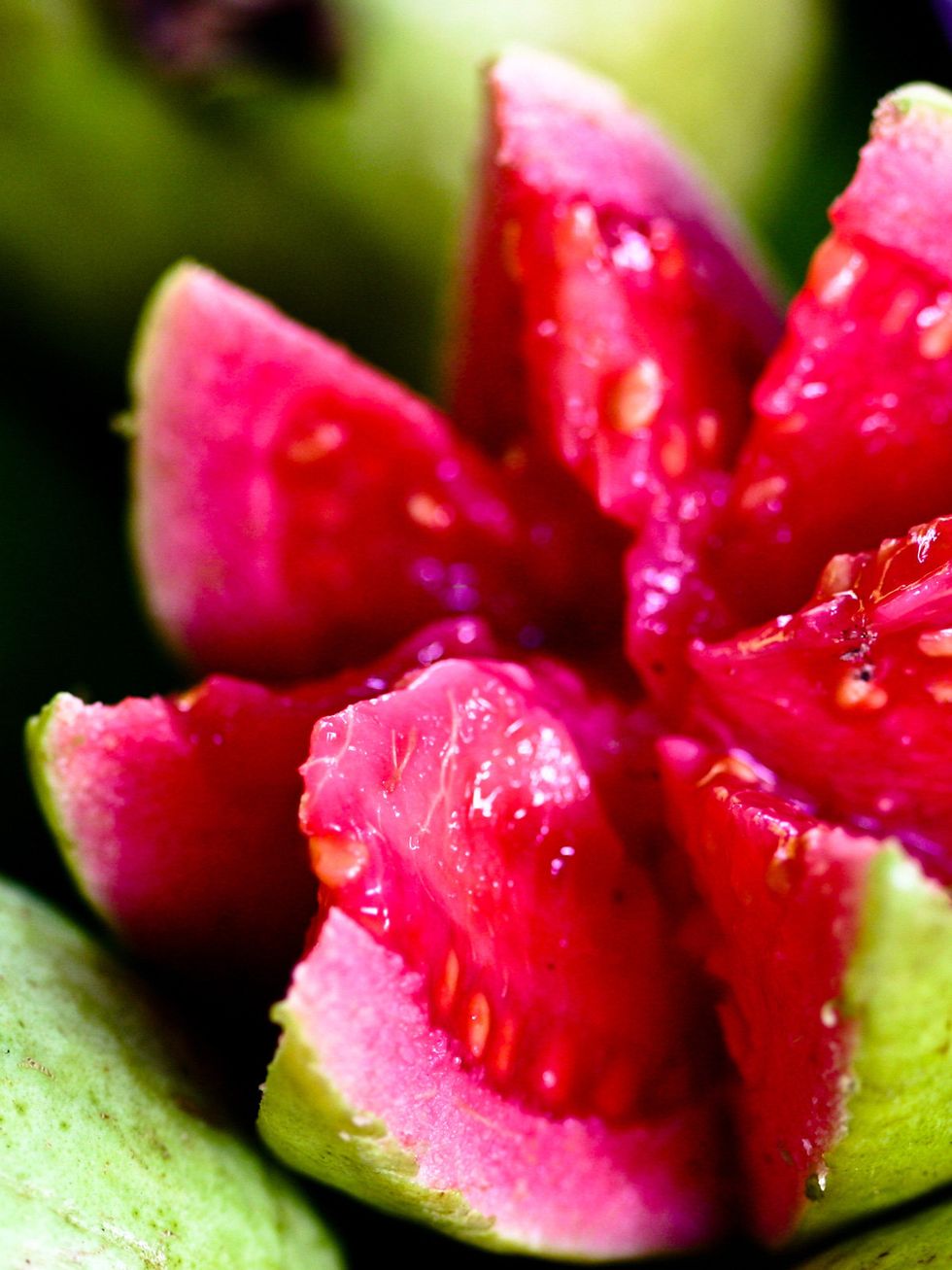 Plant, Food, Close-up, Fruit, Sweetness, Flowering plant, Flower, Natural foods, Watermelon, Ingredient, 