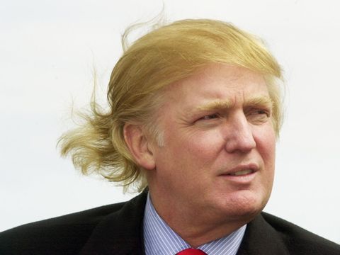 ドナルド トランプ新大統領のヘアスタイルは本当に 時系列で検証