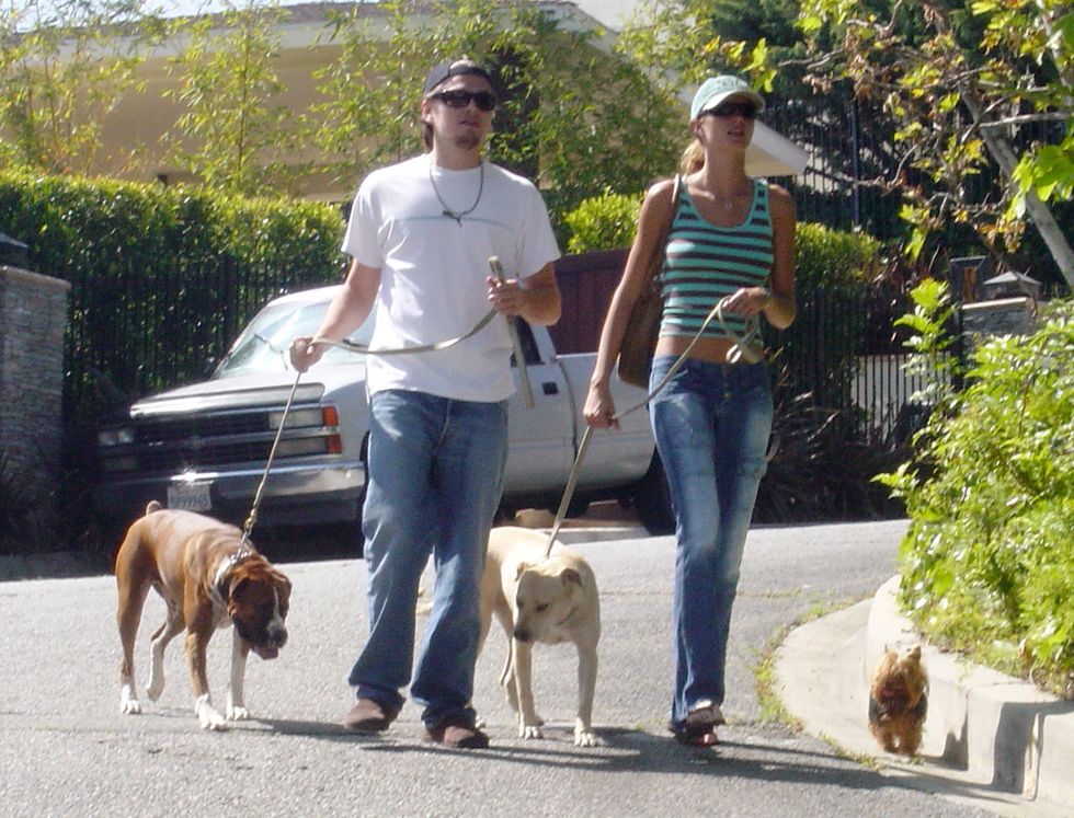 Dog, Dog walking, Canidae, Jeans, Dog breed, Companion dog, Walking, Carnivore, Leash, Sporting Group, 