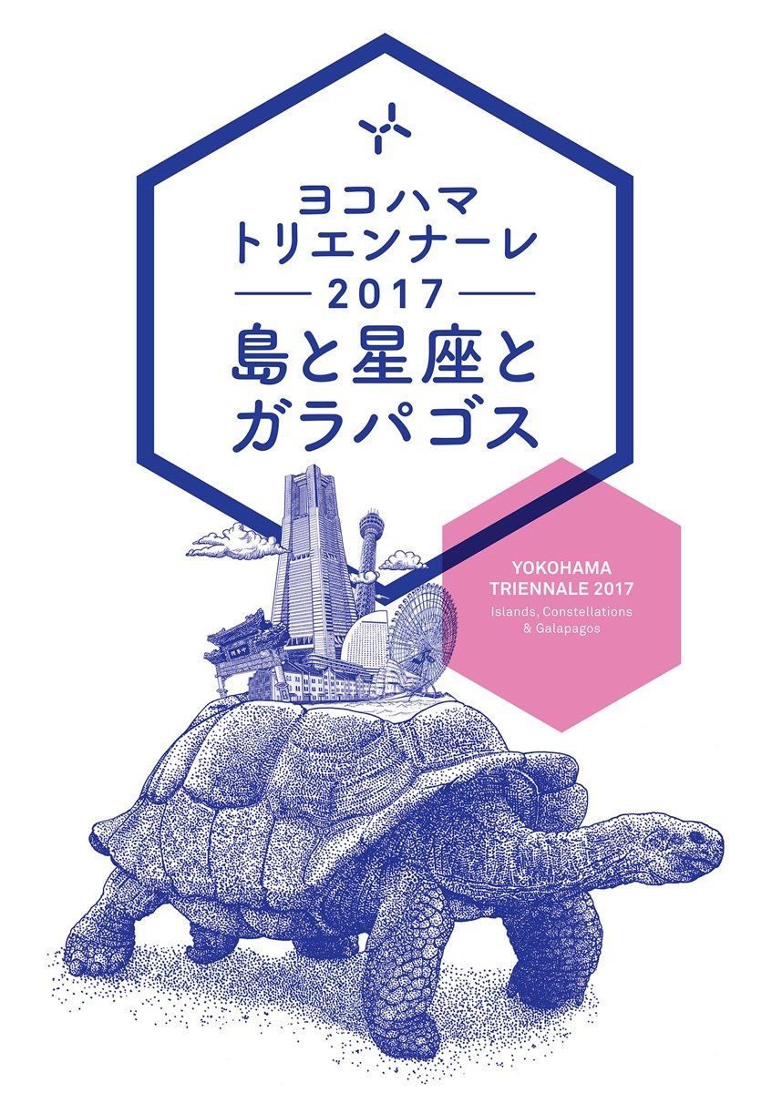 Tortoise, Turtle, Organism, Reptile, Galápagos tortoise, 