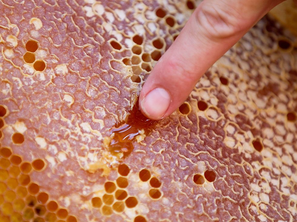 Pattern, Honeycomb, Design, Close-up, Hand, Peach, Finger, Nail, 