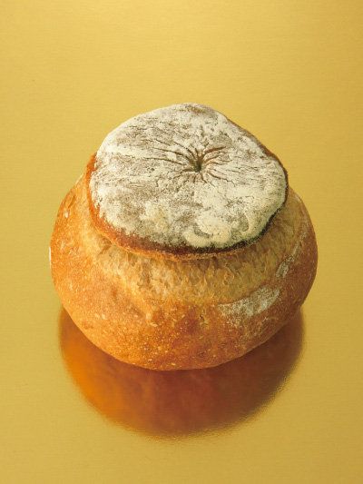 Rock, Still life photography, Peach, Chemical compound, Still life, Sweetness, 