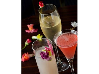 春がテーマの 色鮮やかな スプリングカクテル を飲みにいかない 春がテーマの 色鮮やかな スプリングカクテル を飲みにいかない