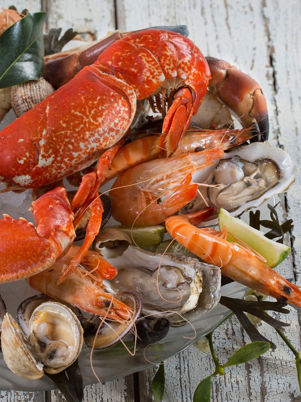 Seafood, Food, Dish, Seafood boil, Scampi, Cuisine, Decapoda, Shrimp, Invertebrate, Crustacean, 